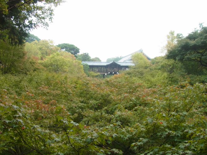 京都旅行　東福寺