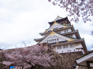 春の京都1泊2日　おすすめプラン